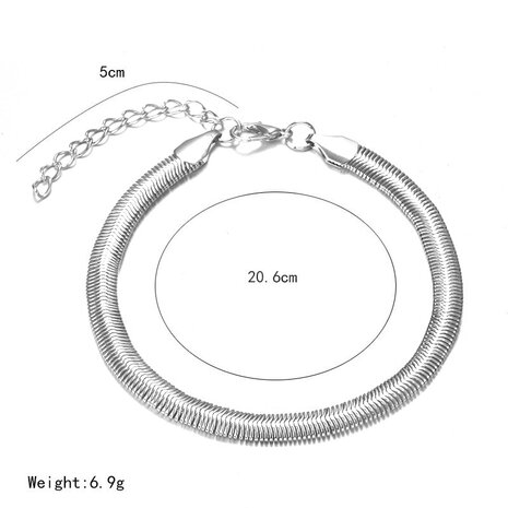 Zilverkleurige slangen enkelbandje