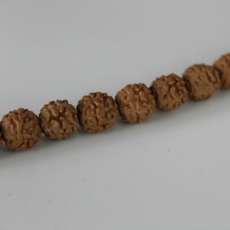 Rudraksha Mala Ketting 108 kralen foto 4