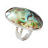 Abalone Schelp Verzilverde Ring Verstelbaar